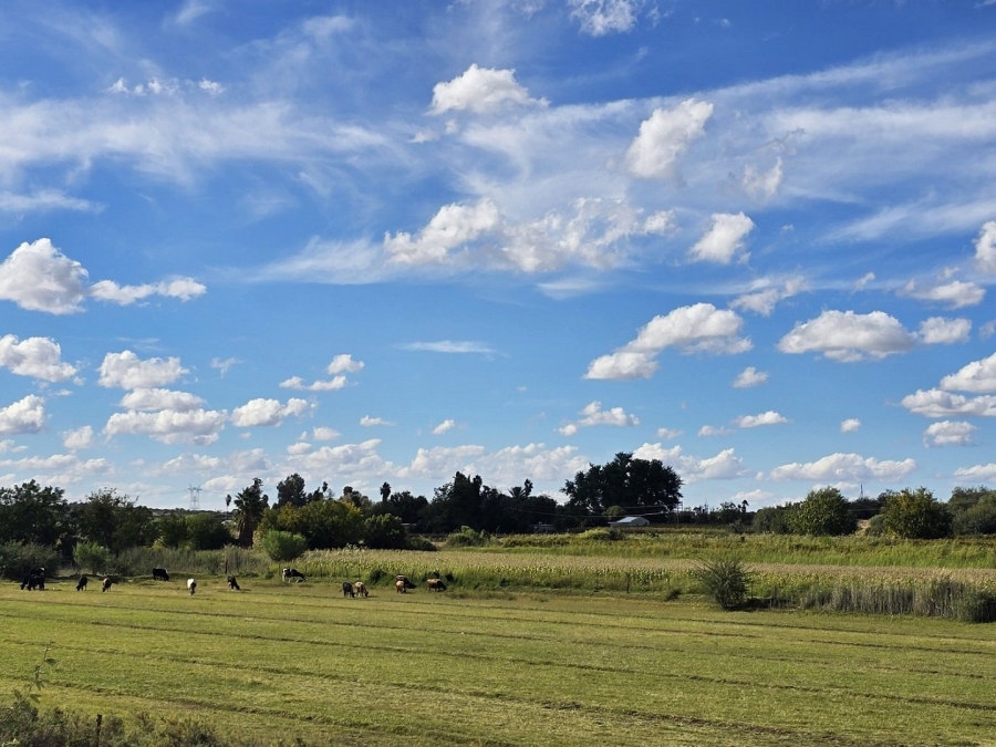 Commercial Property for Sale in Upington Rural Northern Cape